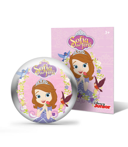 Disney Junior Sofia the First StoryShield