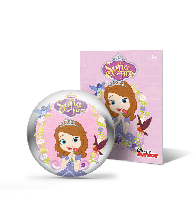 Disney Junior Sofia the First StoryShield